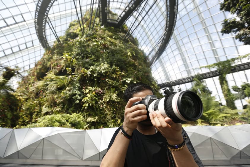 Paul photographing tropical plants inside a Gardens by the Bay conservatory