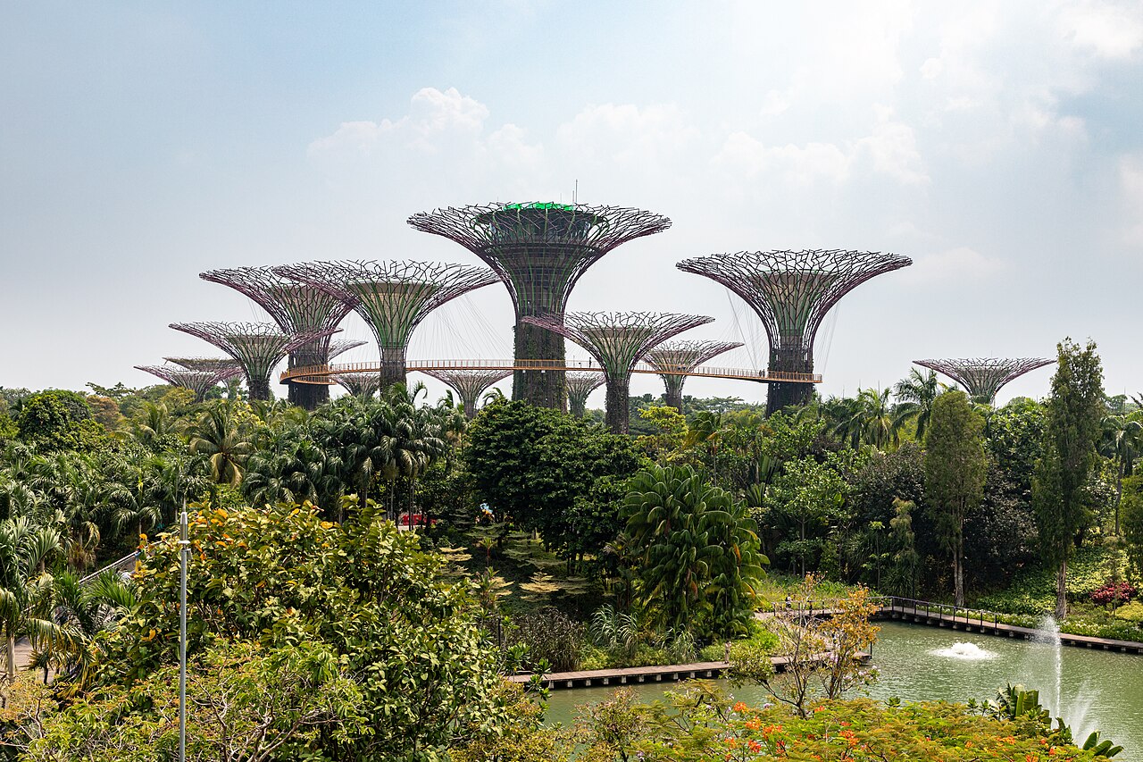 Supertree Grove at Gardens by the Bay in Singapore